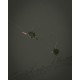 Pluta Matrix - Plopper Pole Float 0.4g